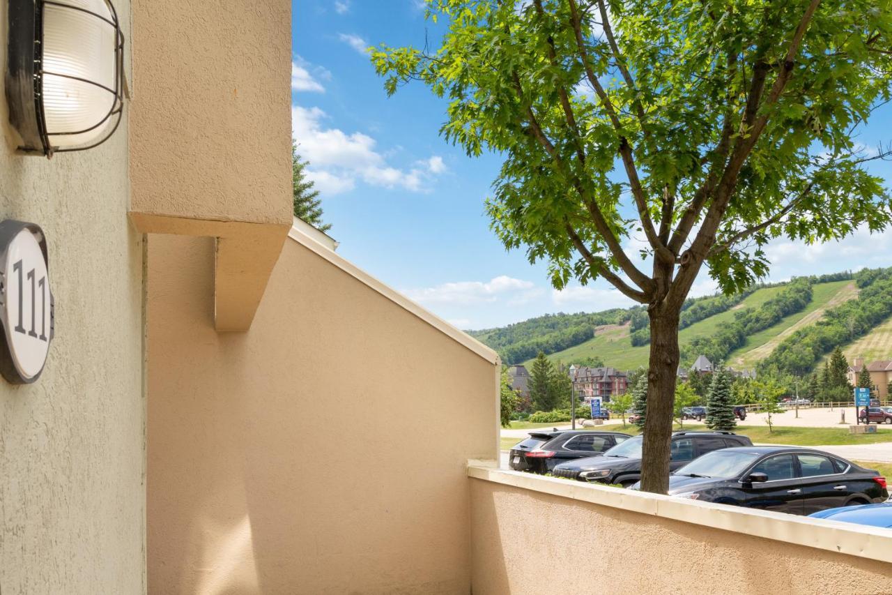 ההרים הכחולים Lovely 3 Bedroom Wintergreen Retreat W Sauna מראה חיצוני תמונה